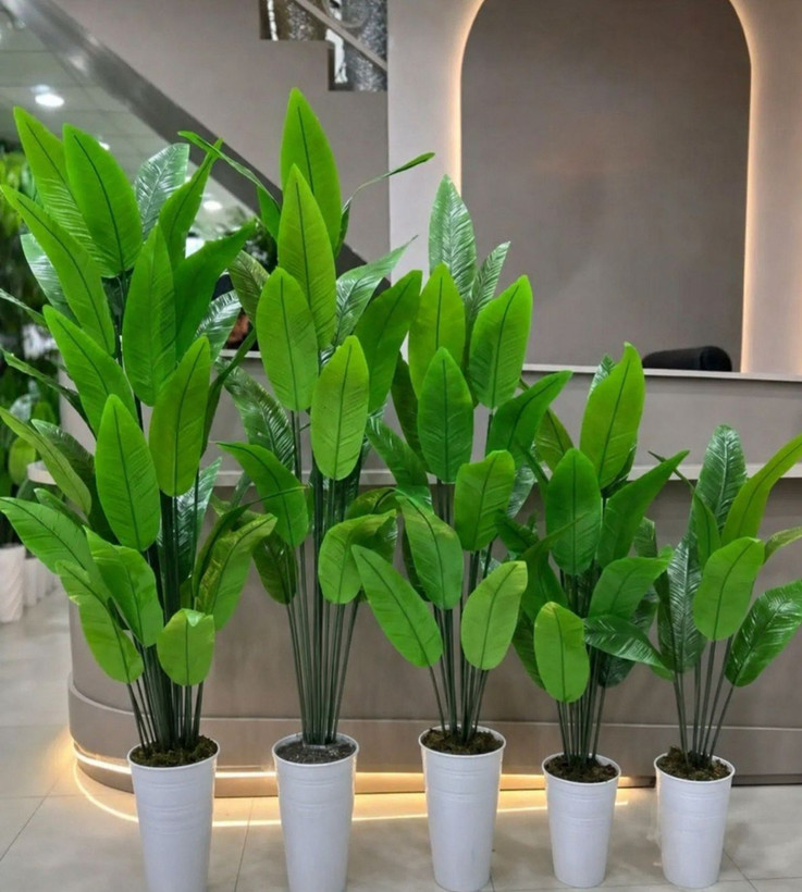 گل مصنوعی پرنده بهشتی(اطلاعات بیشتر در قسمت تنوع)
